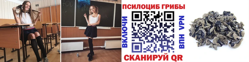 МЕГА вход  купить наркотик  Нерчинск  Галлюциногенные грибы GOLDEN TEACHER 